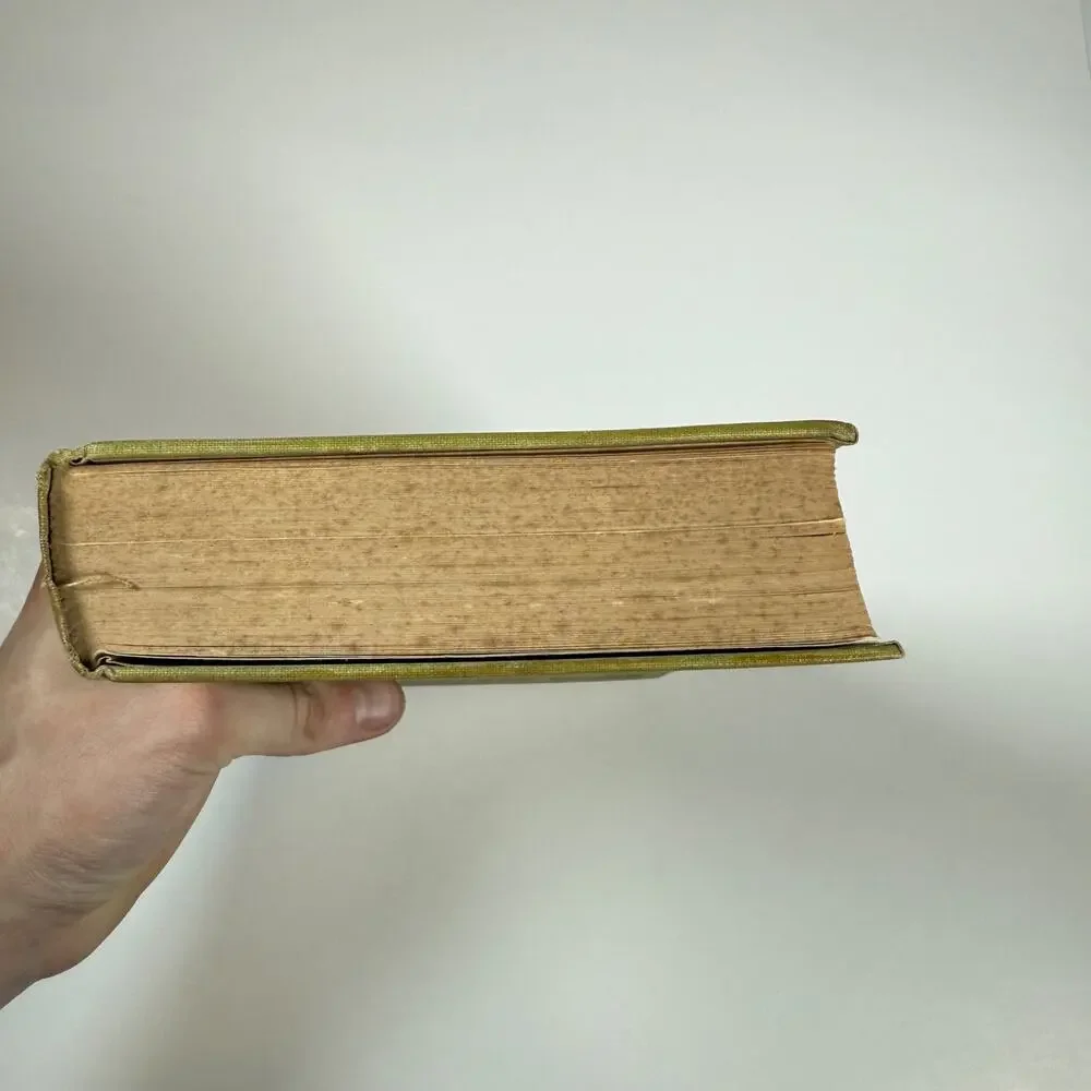 Mavericks By WILLIAM MacLeod Raine 1912 Antique book